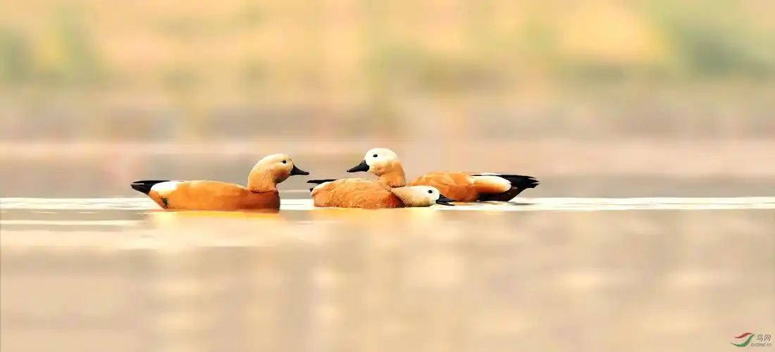 温馨和谐的一家