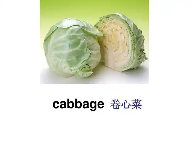 最新审定新人教版初一七年级英语下册unit10_id_like_some_noodles