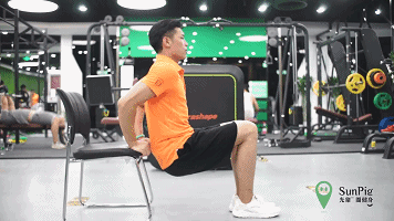 凳上三头臂屈伸