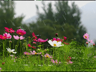 400_300gif 动态图 动图