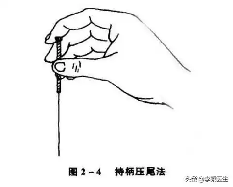 中医针灸学基础持针法