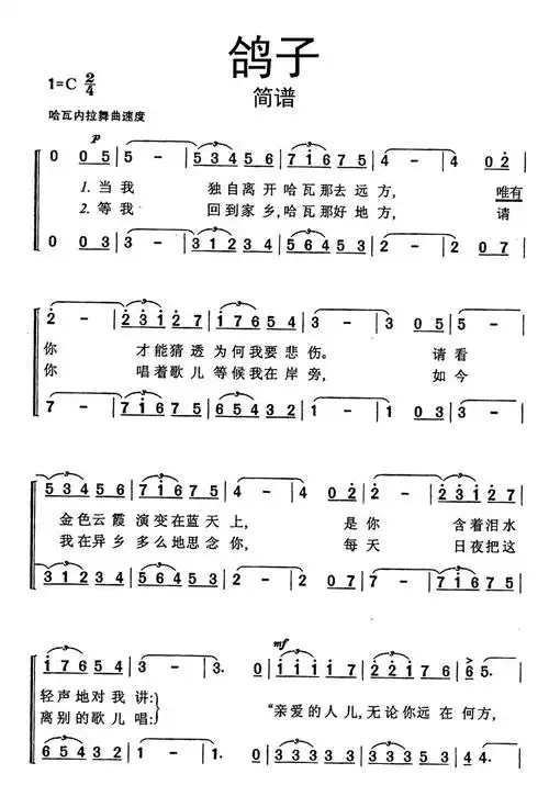 鸽子歌词简谱第1页
