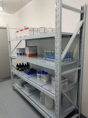 6s在互相帮助中提高