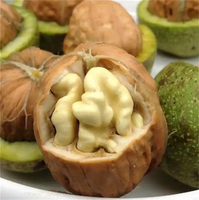 已经到吃青皮核桃的季节,皮不好去怎么办?快来学几招,很好去皮