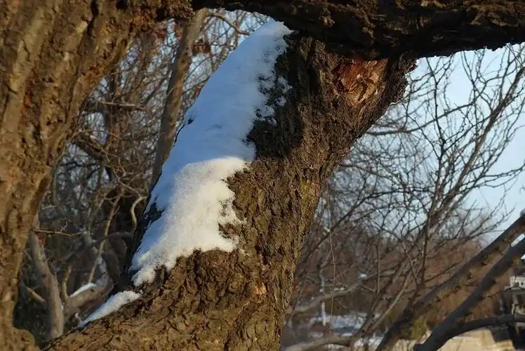 三星(samsung)ex2f 样张图-zol中关村在线