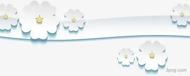 小菊花分割线png素材透明免抠图片动植人物