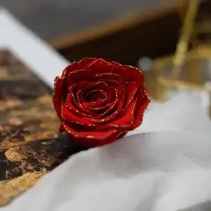 freezelove国产永生花金边红色玫瑰 情人节圣诞节花盒礼盒diy主花