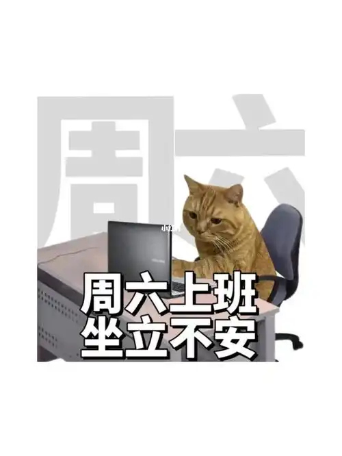 啊啊啊啊周末上班的你为啥还不辞职