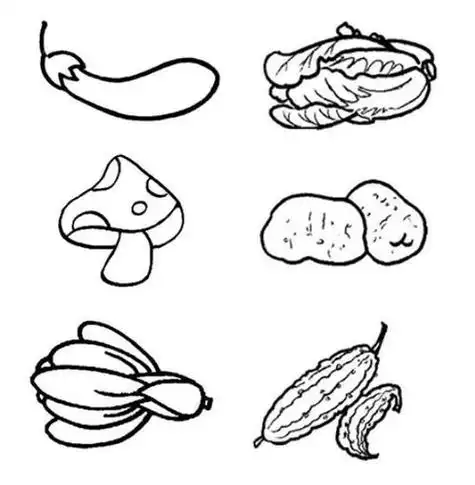 蔬菜水果简笔画 蔬菜水果简笔画大全图片