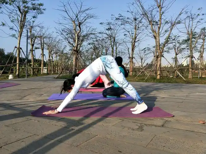 【凤翔湿地公园·公益户外瑜伽】(第4期回顾)练瑜伽不为取悦别人,只为