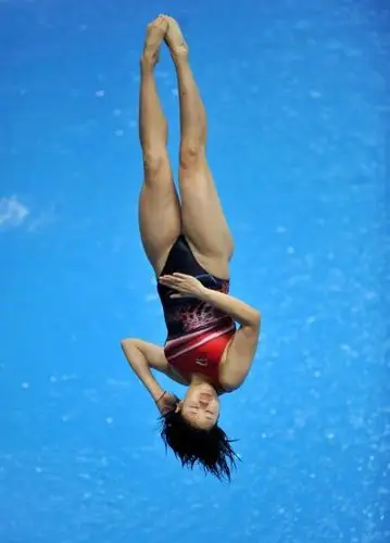 梦之队中国女子跳水队(组图)