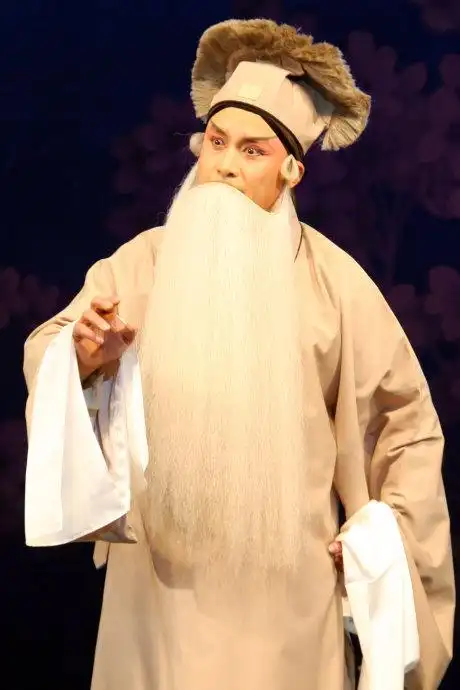 一般"外"的年龄比老生更大,所扮演的角色多半是年老持重者,造形以白