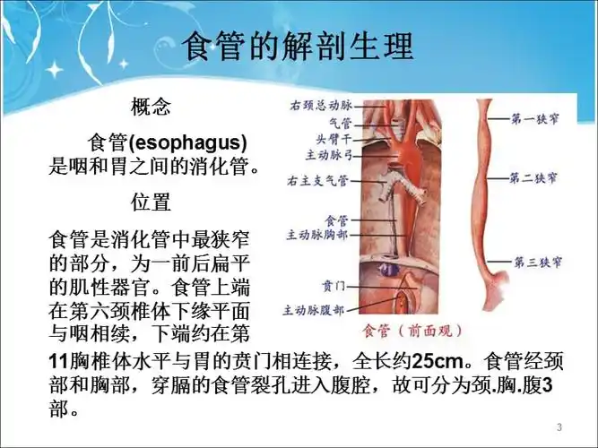 优质课件食管癌的护理查房ppt