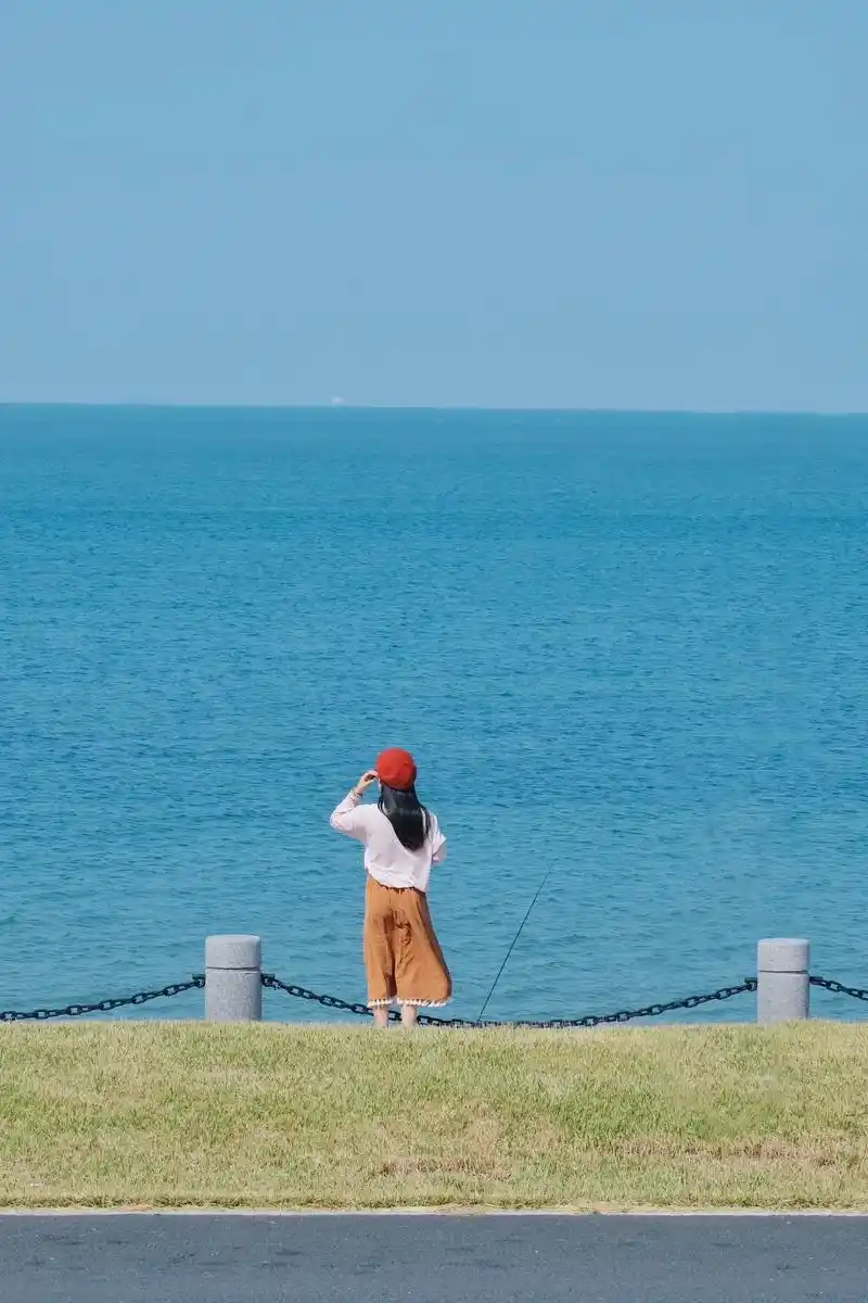 大海,风车,海鸥, - 抖音