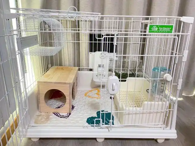 一只爱扒草的兔子2天没打扫的兔笼