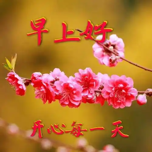 原创2021年4月9日星期五早上好问候祝福动态表情图片最新早安问候祝福