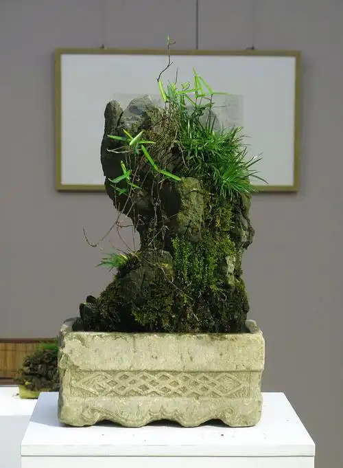 大蒙菖蒲艺术展