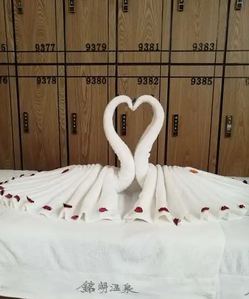 换衣箱床上的毛巾设计,一对孔雀