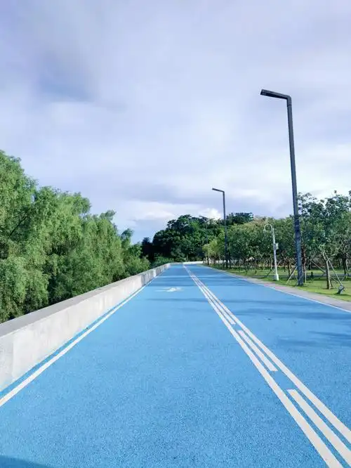 广东周末自驾游广州南沙滨海湿地