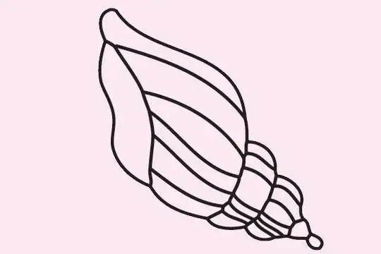 海螺简笔画简单画法步骤教程及图片大全