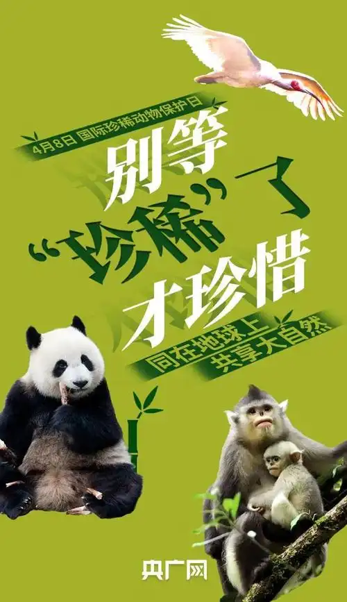 野生动物人工繁殖成功……40年间从1114只增加到1864只(截至2021年10