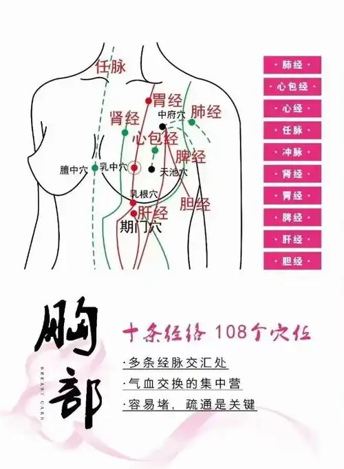 跟随蜜仟私美小z老师一起春日养胸_胸部_身体_经络