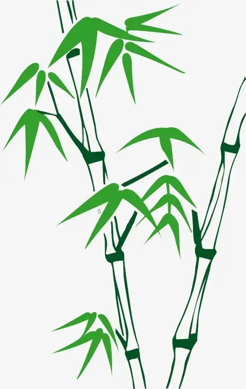 卡通国潮植物竹叶插画竹子装饰元素
