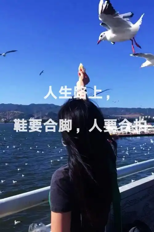 爱官方爱热门 #文字控 #传递正能量