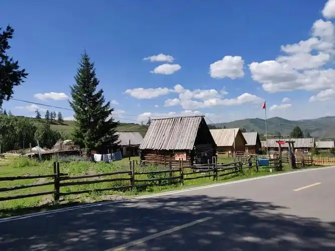 新疆游记4边境之花白哈巴