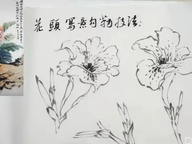 003-【第2节】美人蕉写生(二)