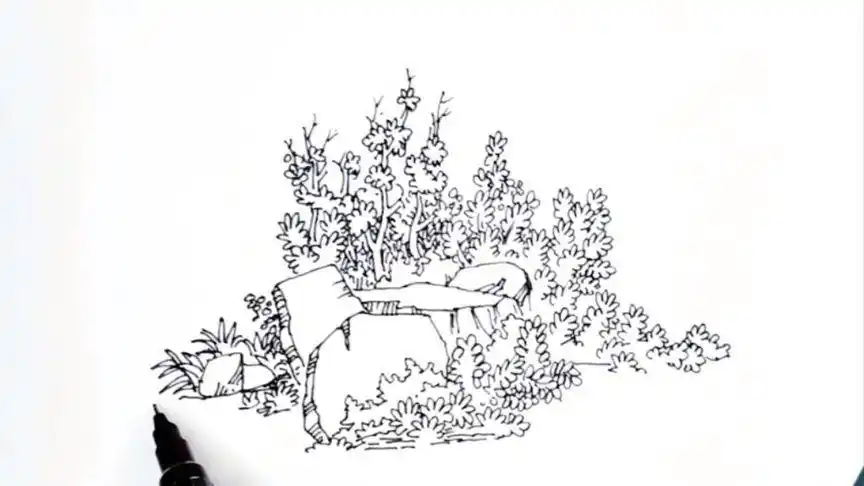 【零基础学钢笔画】草丛和石块搭配很配哦!