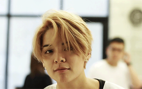 500_315gif 动态图 动图