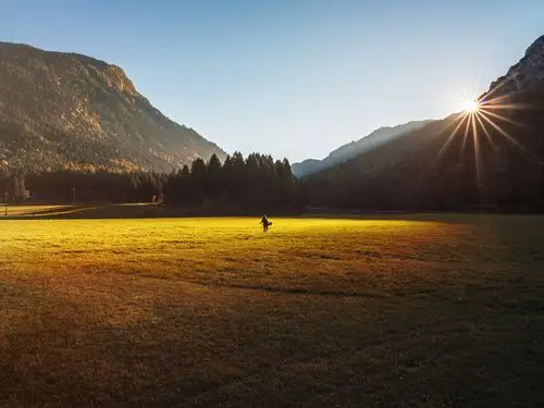 壁纸 草,草坪,树,山,太阳光线,女孩回头看