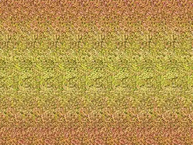 我教你看三维立体画,你一分钟学不会算我输