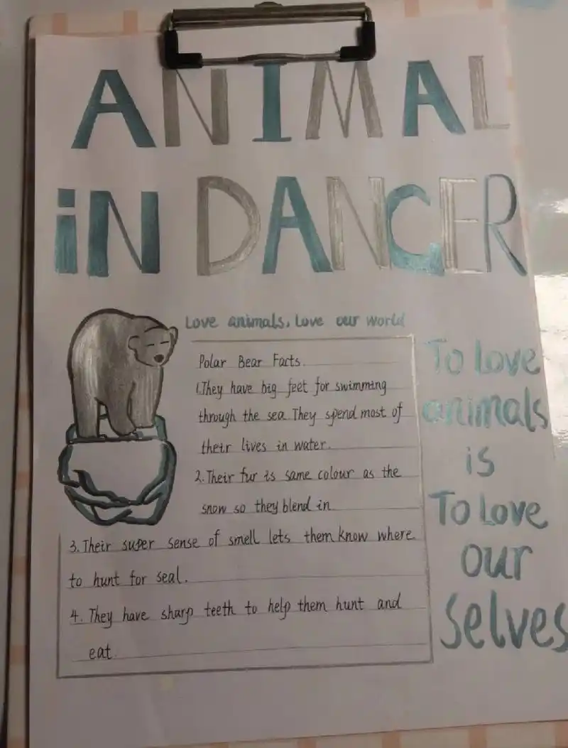 保护动物英语海报 保护动物英语海报