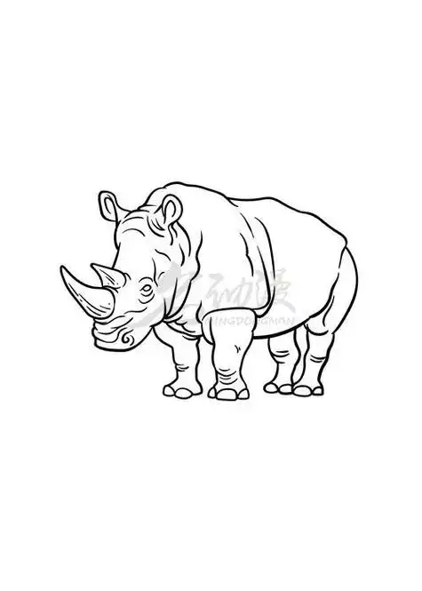 (犀牛怎么画简笔画)