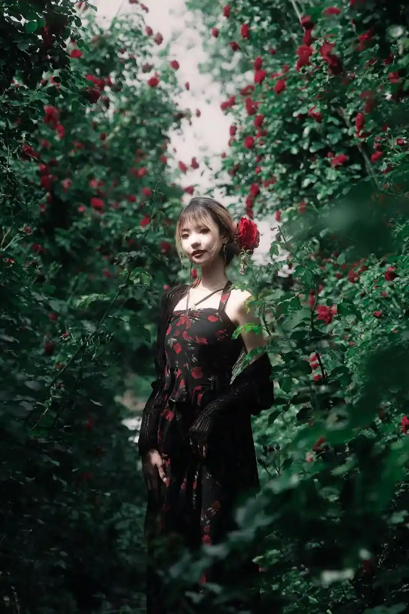 蔷薇人像丨建议收藏弄花里蔷薇公园的蔷薇开得正艳!门票免费, - 抖音