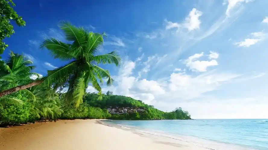 清爽唯美的海滩风景图片桌面壁纸