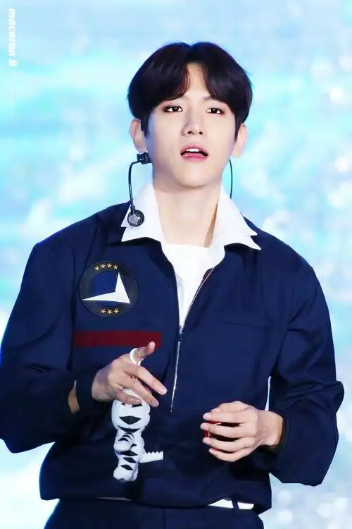 171101平昌冬奥会g100演唱会边伯贤