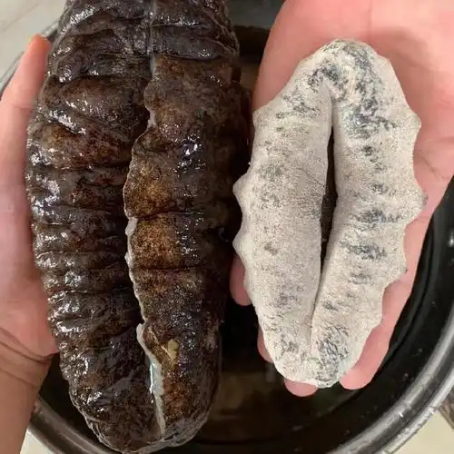 猪婆参 酒席海参 泡发率高 4至5头低温干燥保存 可定制