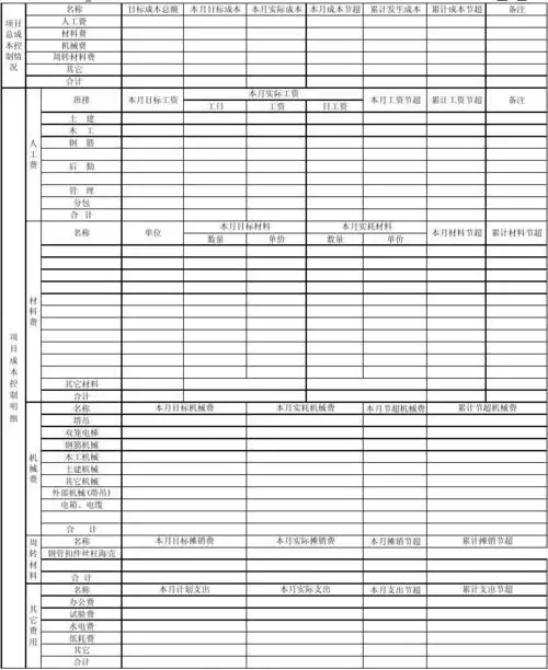 项目成本月报表(工程公司)