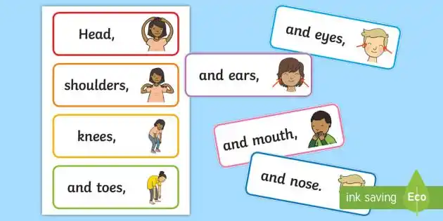 cursive head shoulders knees and toes word cards
