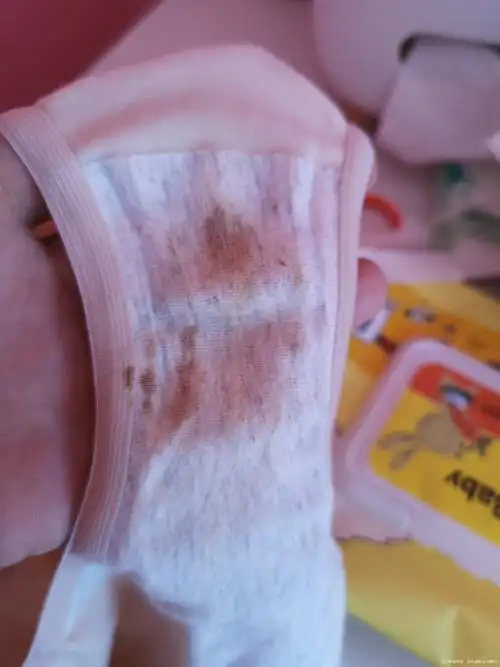 怀孕不到一个月内裤脏了