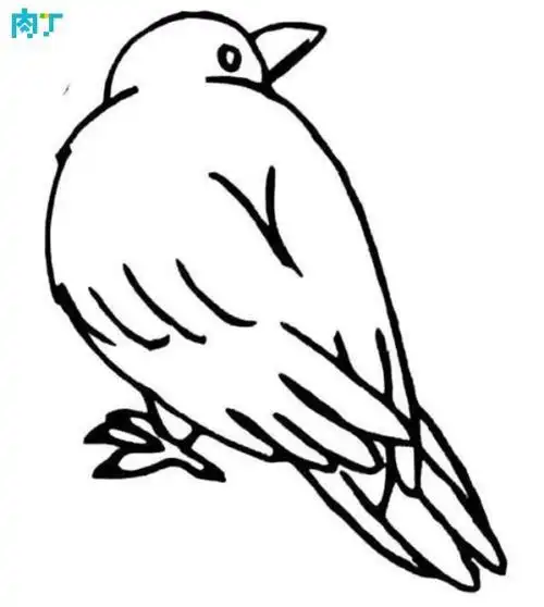 正面小鸟头饰简笔画