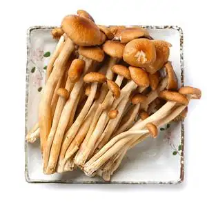 新鲜茶树菇200g(s)