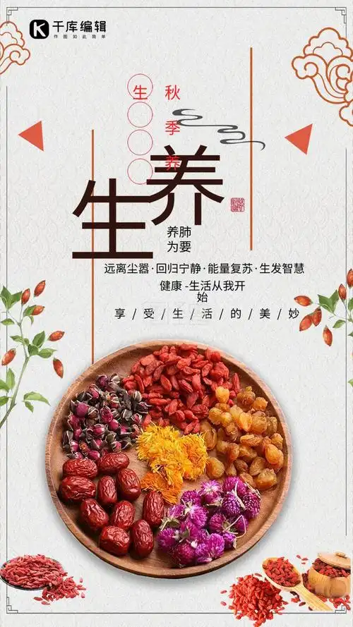 中华美食养生产品促销海报