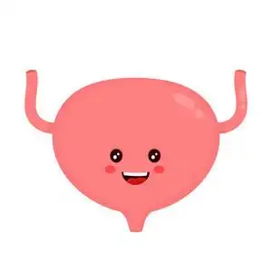 强壮健康快乐膀胱性格照片