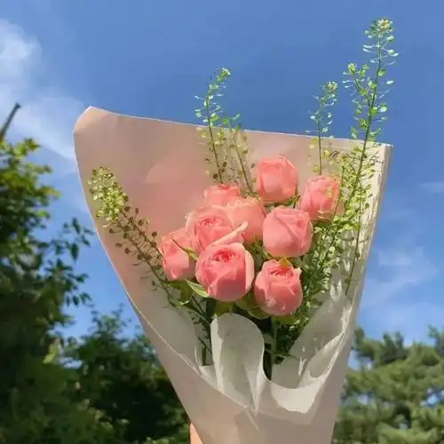 朋友圈封面背景图