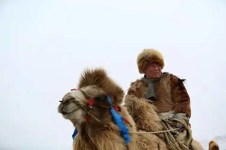 我镜头下的蒙古人