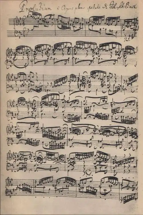 能与巴赫手稿搭配的,当然也得是和像古典乐一样,拥有复杂,和谐,深刻的